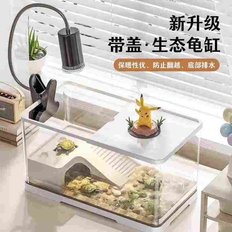 小乌龟活宠物观赏家养中华草龟珍珠巴西花龟小型好幼龟苗耐活体,3C数码配件,USB多功能数码宝,淘宝优惠券,粉丝福利购,淘宝优惠卷