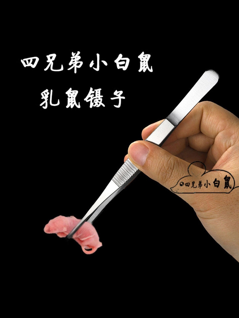 顺丰红皮乳鼠冰冻小白鼠喂蛇冻鼠喂猫宠物蛇食物角蛙蛙粮蜥蜴饲料