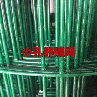 养鸡超硬铁丝网花园包胶多功能浸塑荷兰网阳台网防护网大孔家用