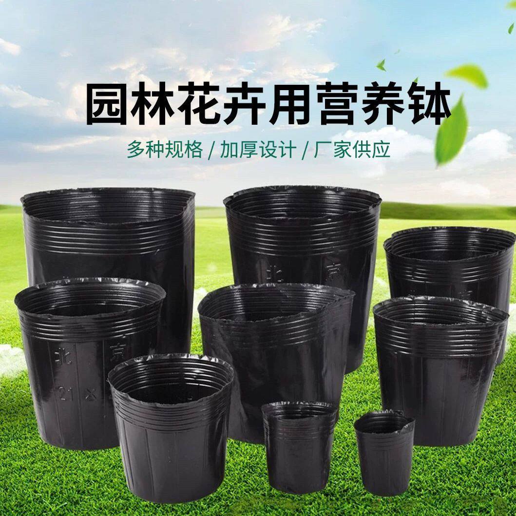 塑料种子盒播种营养杯育苗杯加厚育苗盘/营养钵