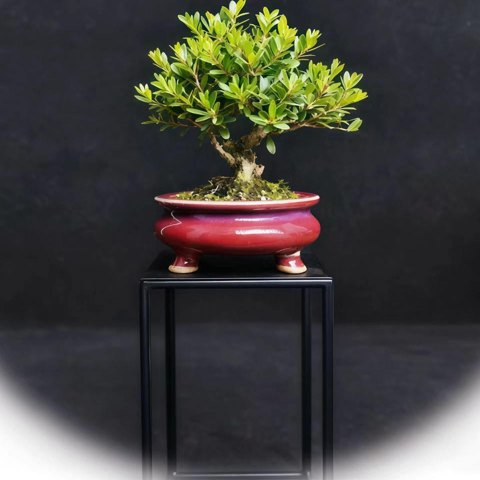 钧瓷香炉圆型高温窑变釉盆景花盆