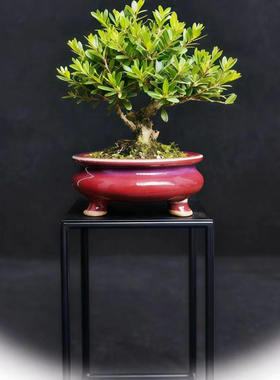 钧瓷香炉圆型高温窑变釉盆景花盆