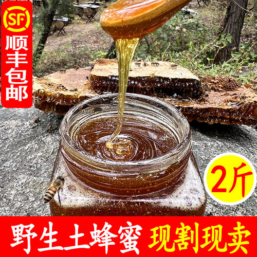 野生土蜂蜜纯正天然深山木桶药用