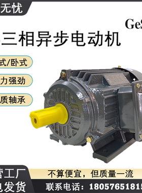 8级葛氏GeShi电机Y2全铜 0.55/0.75/1.1/1.5/2.2/3KWGS三相电动机