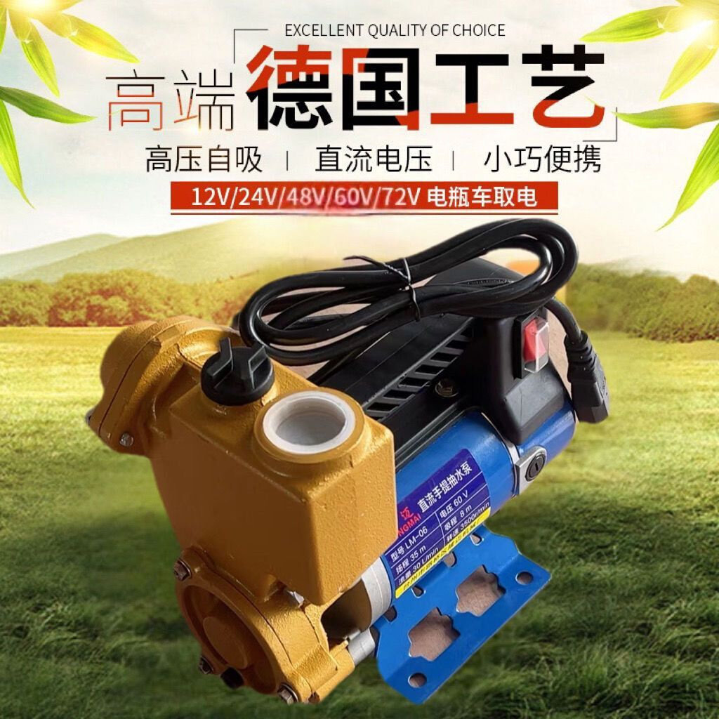 直流自吸泵12v24v48v60v72v农用电动车抽水泵便携式灌溉浇菜水泵