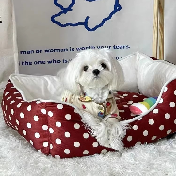 小型狗窝猫窝通用四季狗垫宠物垫