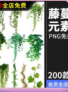 春天绿色树藤青藤蔓树叶花藤枯枝条装饰元素透明背景PNG免抠素材