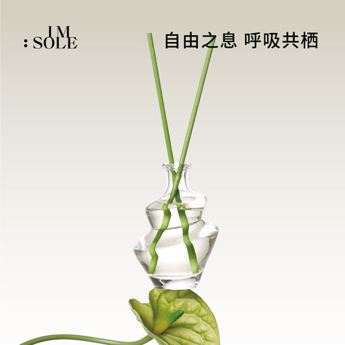 IMSOLE不定所无火香薰