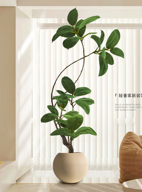 橡皮树彷真绿色植物假植物客厅轻奢彷生花装饰树室内大型盆栽落地