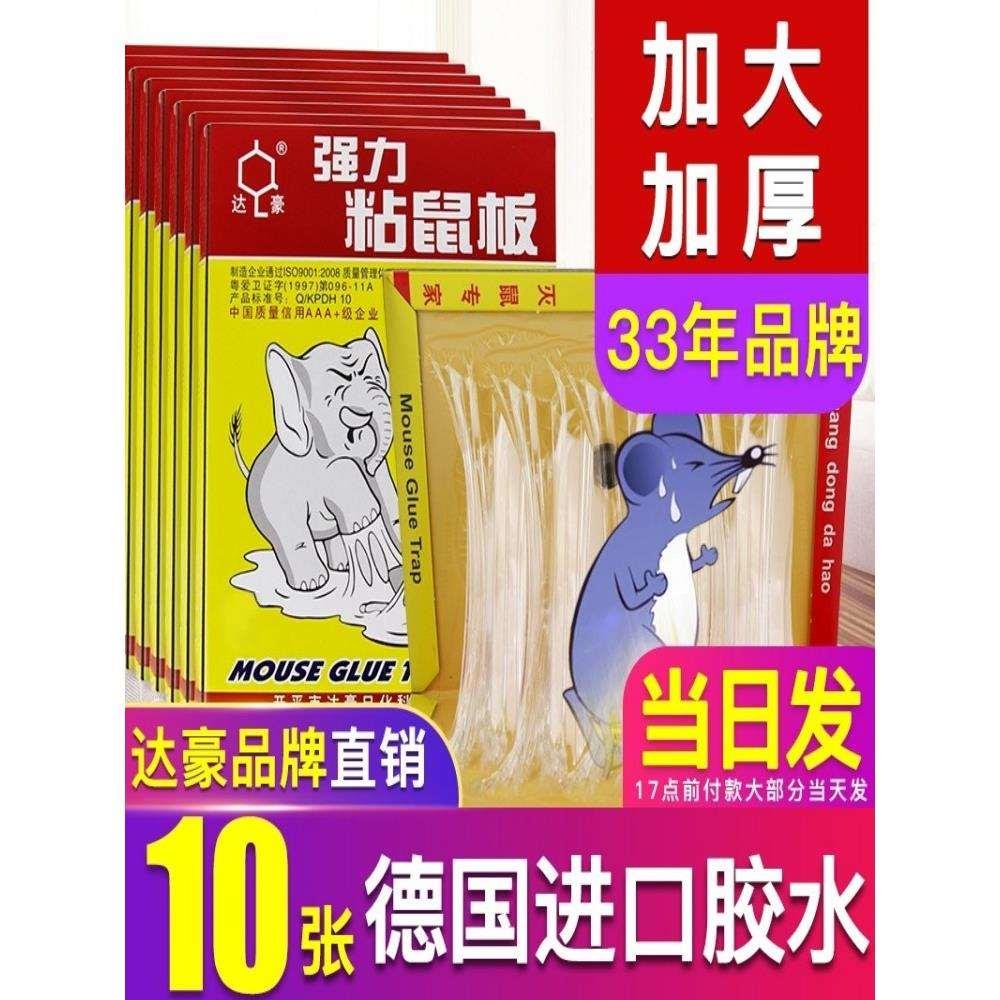 达豪A1大象标准型粘鼠板捕鼠器强力加大老鼠贴加厚粘鼠胶10片包邮
