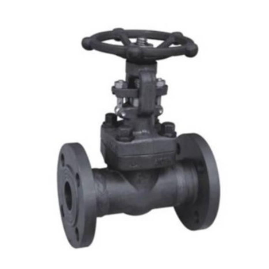 Z41H-16C/25C/40C A105锻钢锻打法兰闸阀DN15 20 25 32 40 50