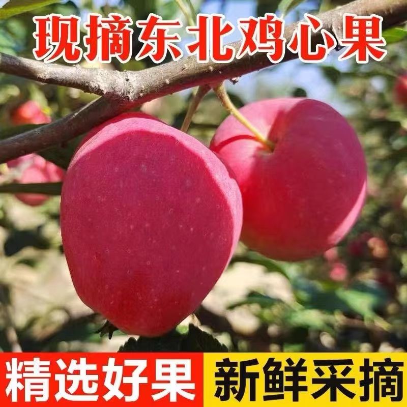 正宗东北鸡心果新鲜应季大秋果沙果海棠果龙丰果苹果水果小苹果