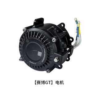 锋鸟赛博GT电动车配件仪表皮带轮控制器蜂鸟GT朋克转把灯原厂配件