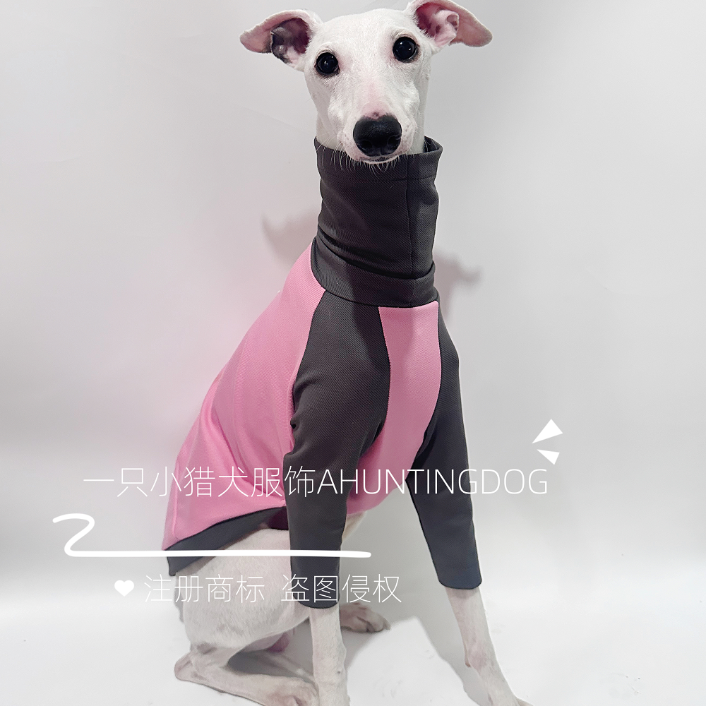 灵缇犬春夏新品纯棉T恤衫