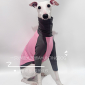 灵缇犬春夏新品 纯棉T恤衫 意大利小灵缇惠比特格力贝林顿犬衣服