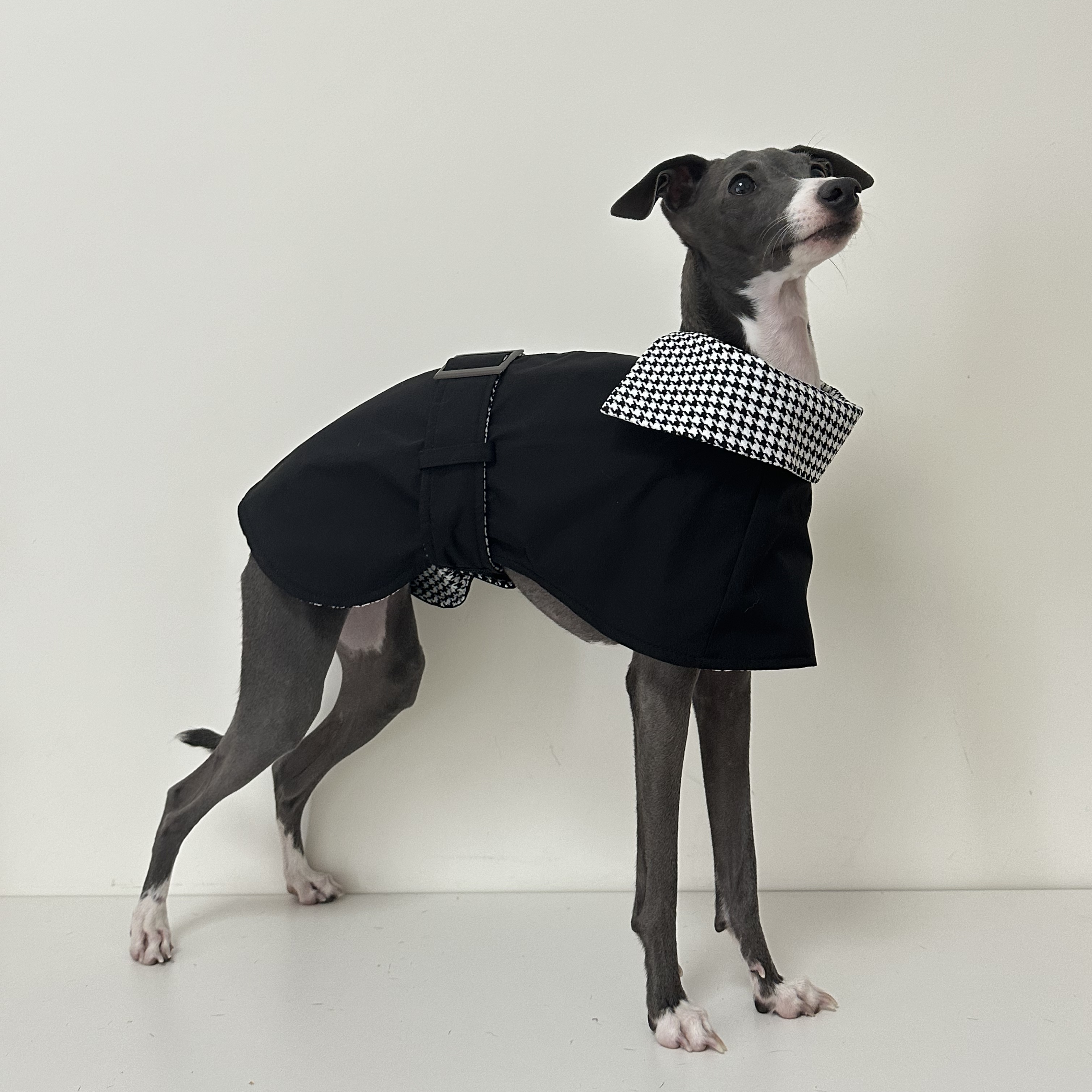 狗狗冲锋衣披风防风防小雨