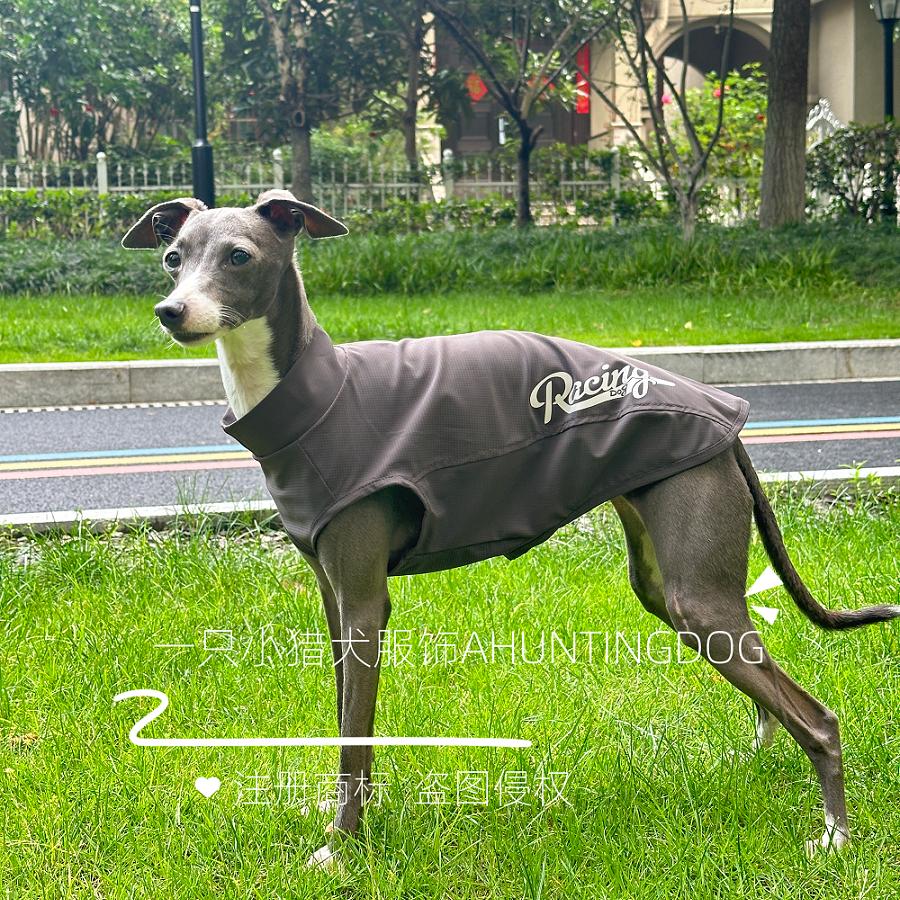 夏季冰感背心速干冰凉面料夏季超薄款意大利小灵缇惠比特衣服