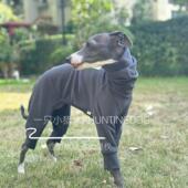 秋冬新款 德绒四脚衣打底衫 高弹保暖面料小灵缇惠比特贝林顿犬衣服