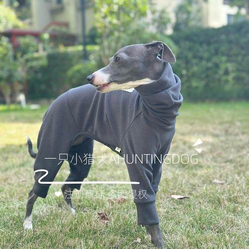 秋冬新款德绒四脚衣打底衫高弹保暖面料小灵缇惠比特贝林顿犬衣服