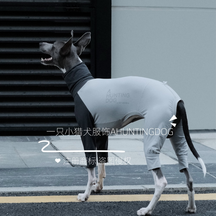 夏季凉感四脚衣户外防虫吸湿速干轻薄透气意大利小灵缇惠比特衣服