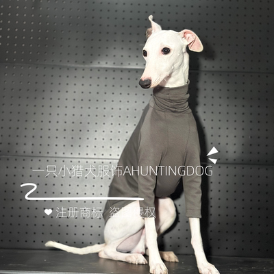 春夏款纯棉T恤衫超酷耐脏意大利小灵缇惠比特贝林顿犬衣服