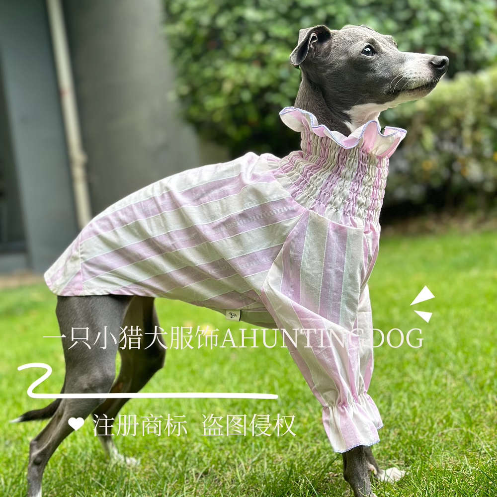 意大利小灵缇天丝棉超薄泡泡裙透气冰爽防晒惠比特衣服夏款