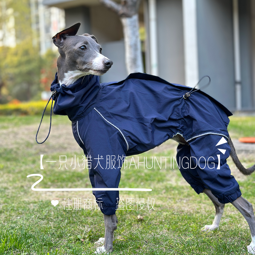 灵缇犬春秋轻薄款四脚雨衣防风防雨冲锋衣小灵缇惠比特贝灵顿衣服
