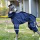 灵缇犬春秋轻薄款 四脚雨衣防风防雨冲锋衣小灵缇惠比特贝灵顿衣服