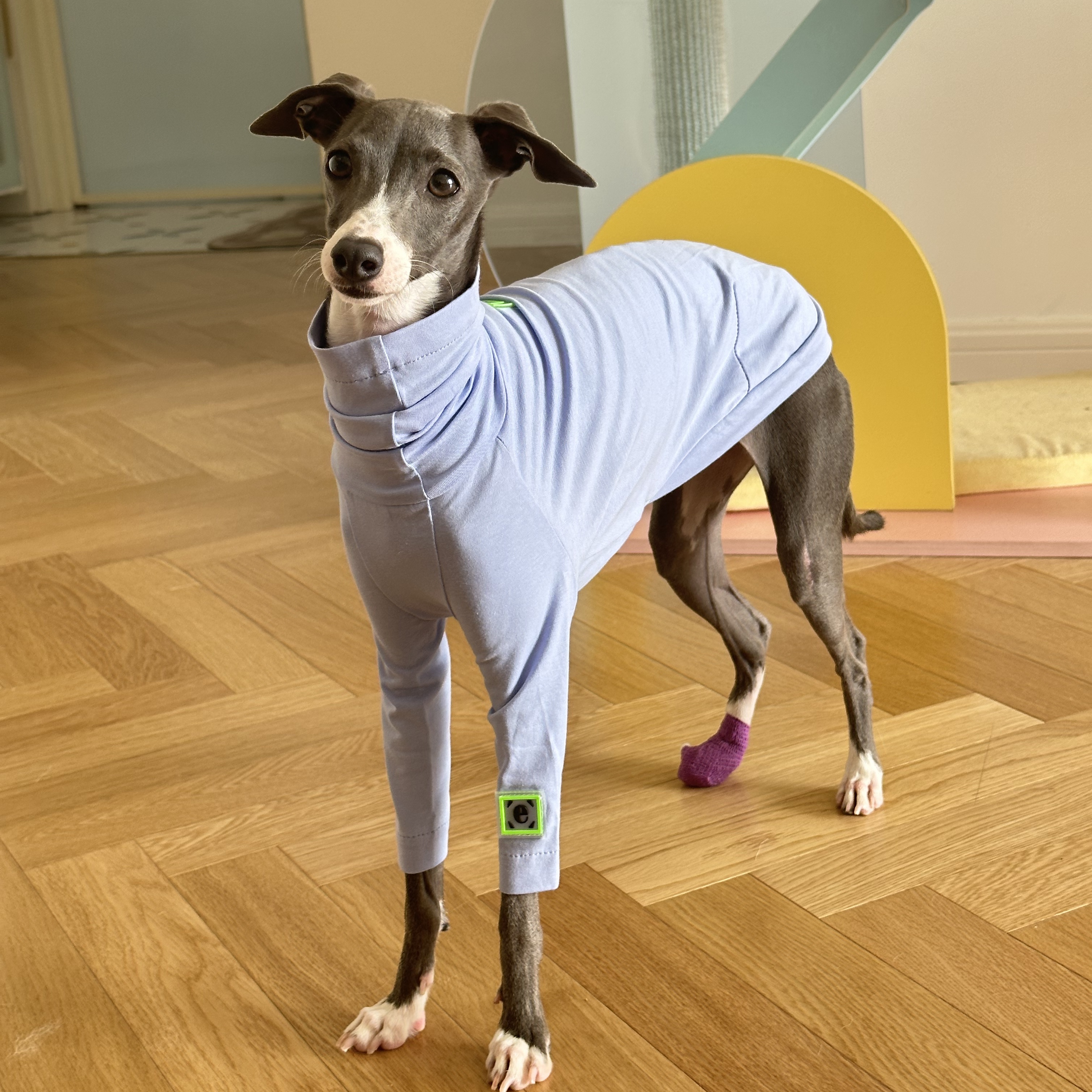 春夏薄款纯棉超弹高领背心