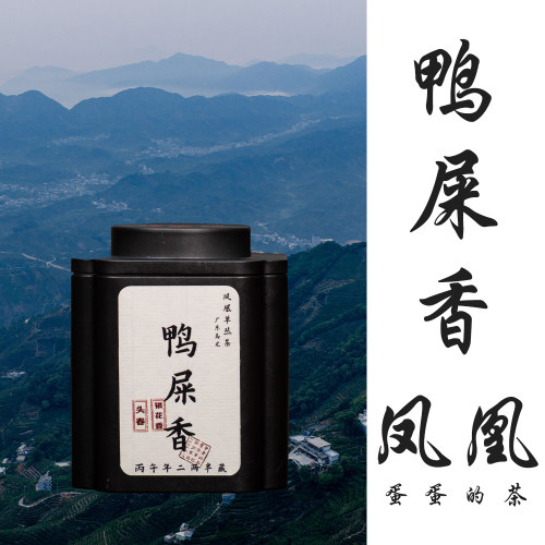 坪坑头鸭屎香|凤凰单丛|银花香|老丛高山单丛|核心产区|椿盛锦