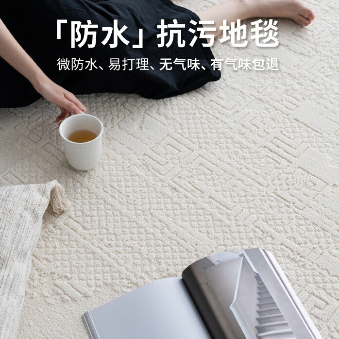 客厅地毯2026新款极简高级设计感奶油风防水高端别墅家用隔音减震