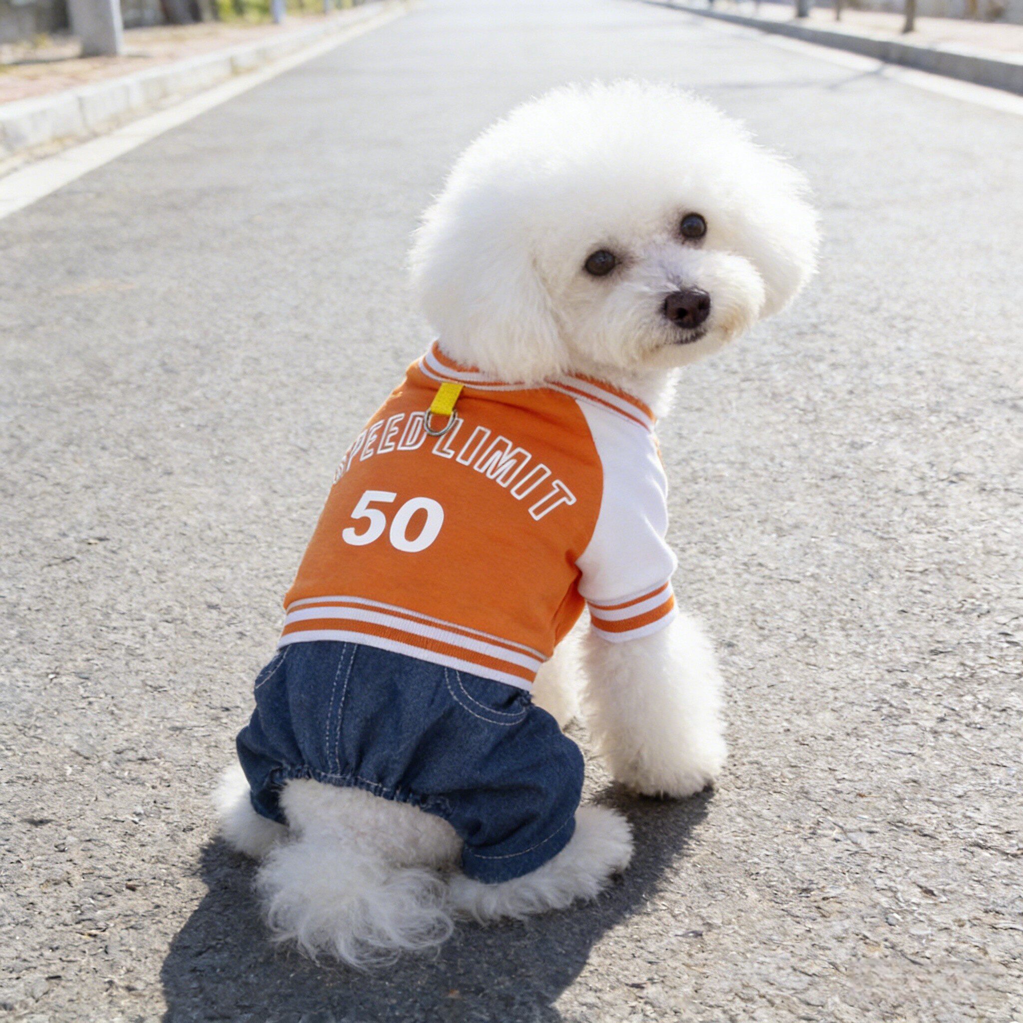 新款春装猫咪狗狗牛仔四脚衣服帅气卫衣比熊博美中小型犬宠物服装