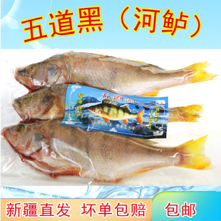 五道黑新疆福海特产冷水鱼整条净膛开背去内脏冰鲜速冻净膛包邮