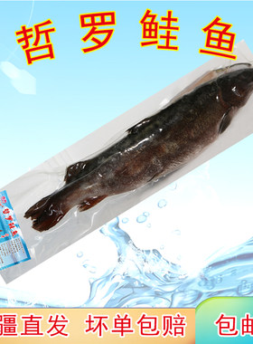 哲罗鲑冷水鱼冰鲜速冻整条净膛