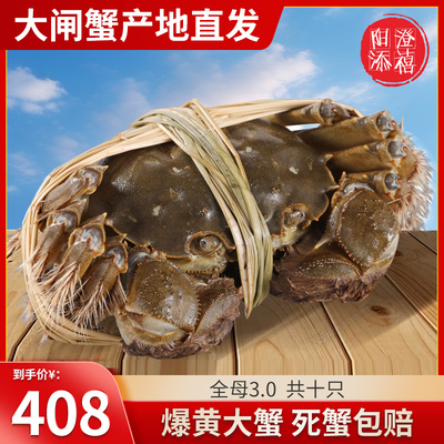 活蟹现货苏州公母大闸蟹螃蟹礼盒
