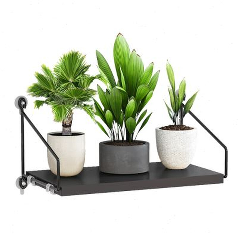 新款墙上花架壁挂式室内挂墙花架子挂式的阳台免打孔挂在墙壁置物