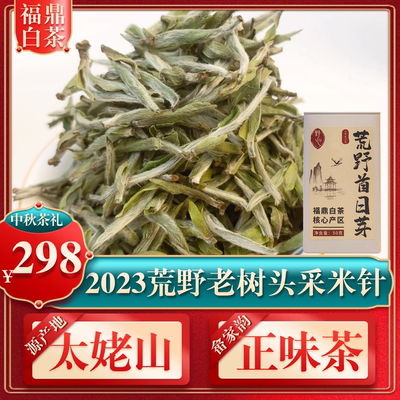 福鼎白茶荒野头采米针新茶天花板