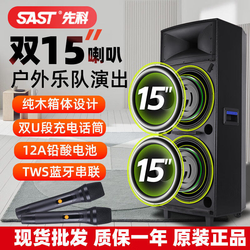 先科(SAST)双15英寸户外音箱 专业会议演出音响 广场舞婚庆舞台