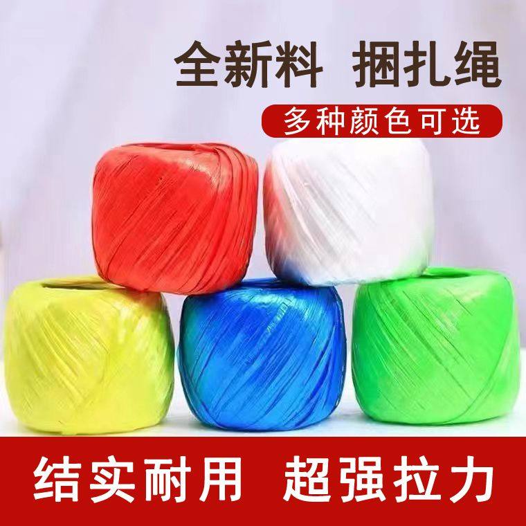 捆扎绳全新塑料绳草球绳尼绒绳扁带捆绑彩色防滑撕裂带捆绑带捆菜,鲜花速递/花卉仿真/绿植园艺,打草绳等其他绳子,淘宝优惠券,粉丝福利购,淘宝优惠卷
