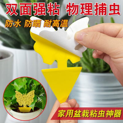 双面粘虫板黄板纸贴黄色小飞虫