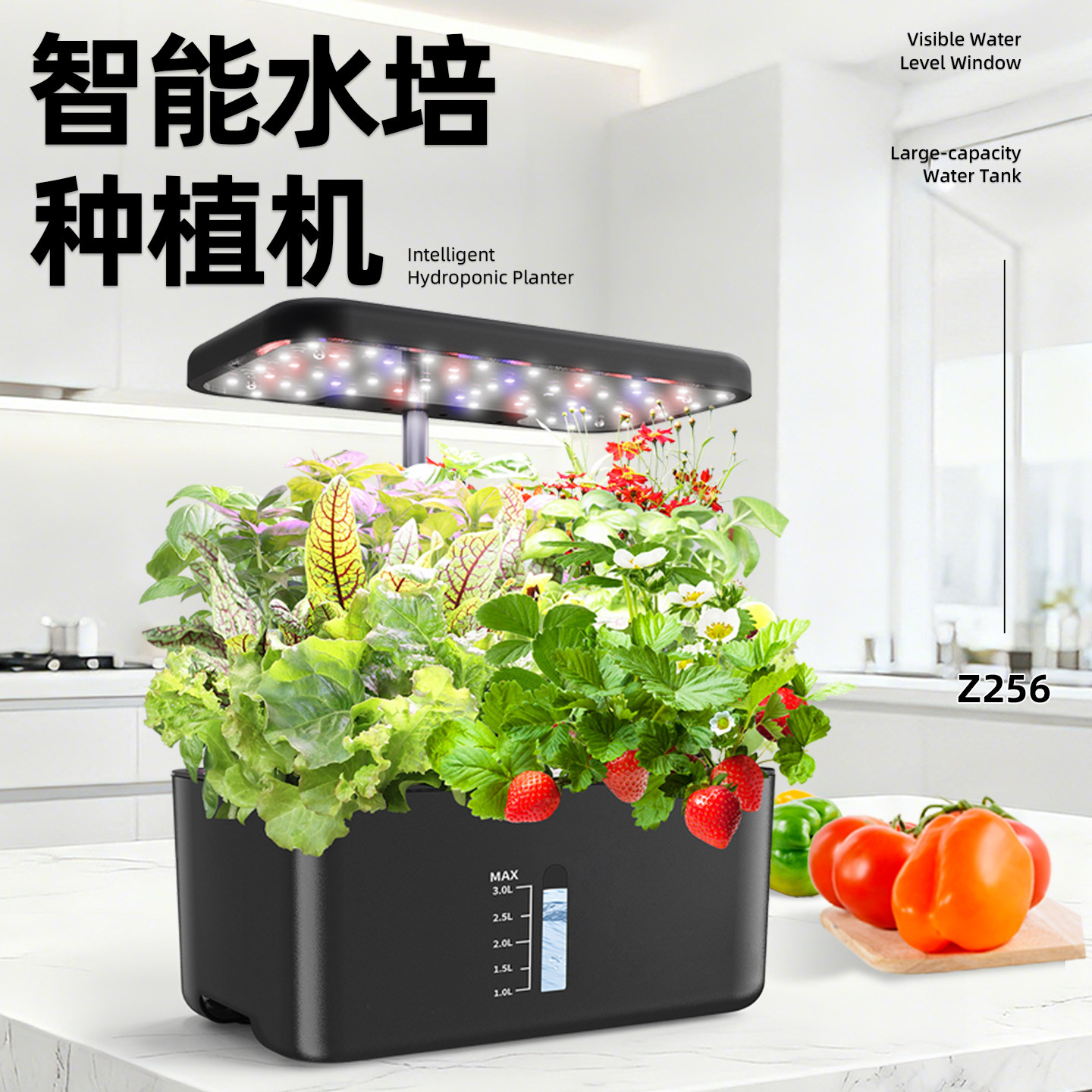 欧林泽室内智能花盆水培种菜机无土栽培设备植物观察盆蔬菜种植箱