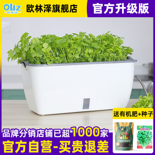 【下单有礼】种草莓种菜专用箱