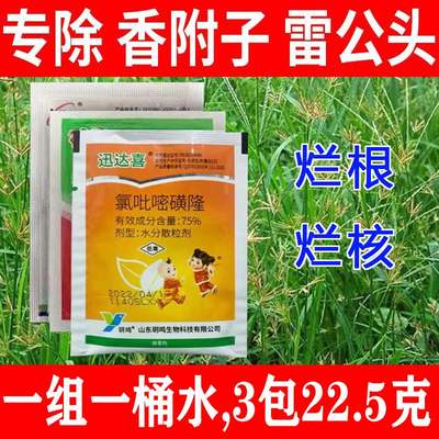 香附子除草剂烂根剂强力一扫光氯吡嘧磺隆玉米阔叶草莎草专用农药