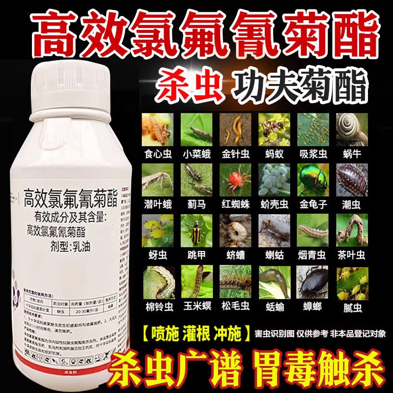 高效氯氰氟菊酯高效蚜虫桃树李树杀虫剂果树专用农药蔬菜地下害虫