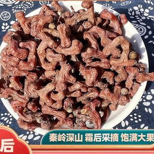 秦岭新鲜拐枣干 500g万寿果 金钩子鸡爪了枳椇子泡酒