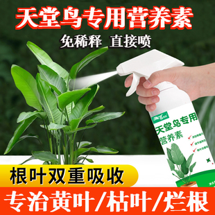 天堂鸟专用肥料绿植养护营养液花肥通用鹤望兰黄叶盆栽植物液体肥