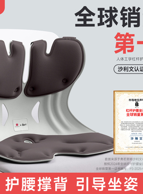 bkt护腰坐垫官方旗舰店人体工学座椅腰靠支撑久坐神器腰托办公室