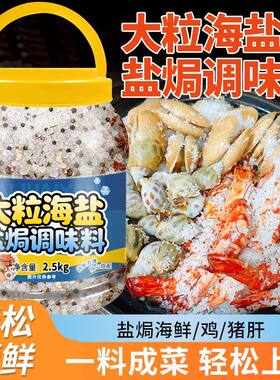 海盐粗盐大粒盐焗海鲜调味料大桶2500g大闸蟹鸡虾家商专用腌制料