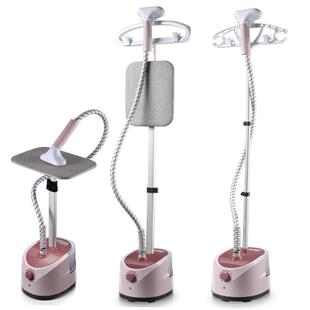 electric compact iron steam soleplate clothes steamer 熨斗