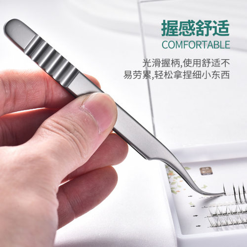 乌克兰睫毛镊子嫁接开花